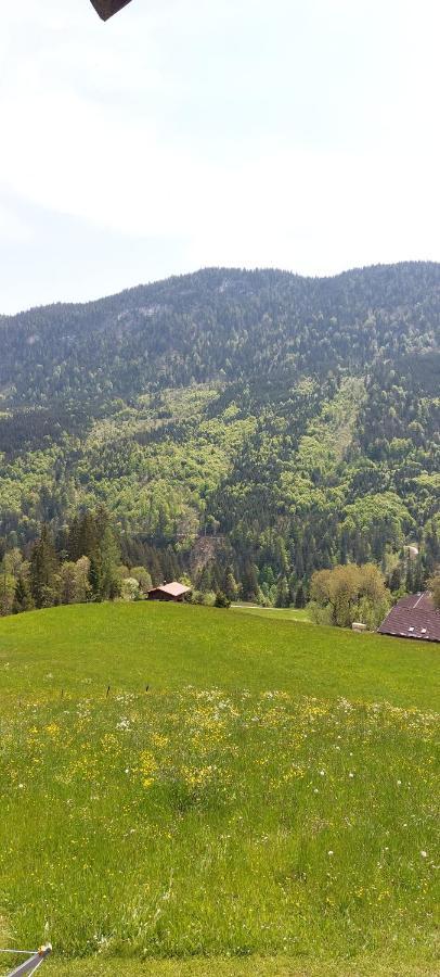 蒂尔塞Bichlhof Riedenberg别墅 外观 照片