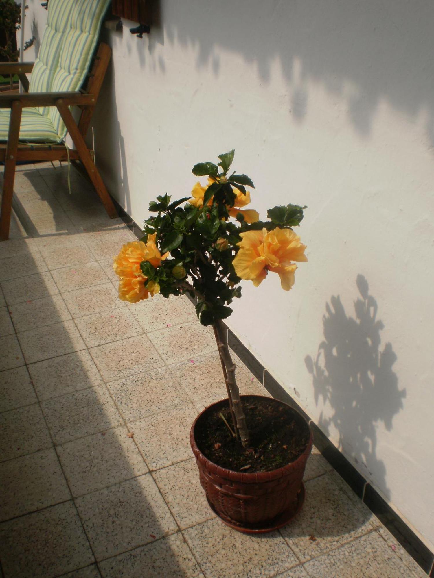 蒂尔塞Bichlhof Riedenberg别墅 外观 照片